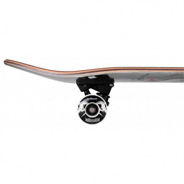 Birdhouse Birdhouse Stage 3 Hawk Skull 2 Chrome Complete Skateboard | 7.75" Completes | The Vines