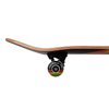 Birdhouse Birdhouse Sunset Stage 3 Complete Skateboard Rasta | 7.75" Completes | The Vines