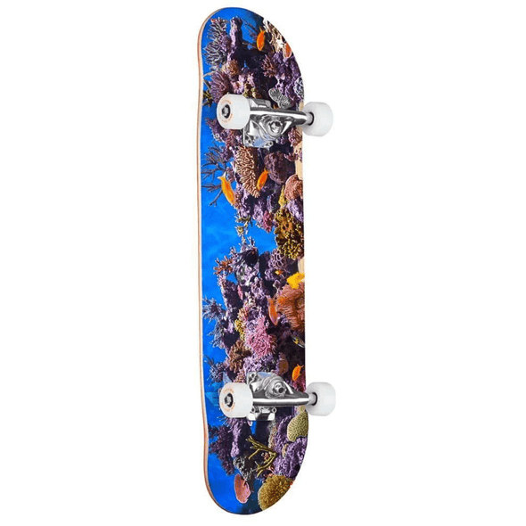 Mini Logo Mini Logo FF&F 18 Fish Tank 243 Complete Skateboard | 8.25" Completes | The Vines